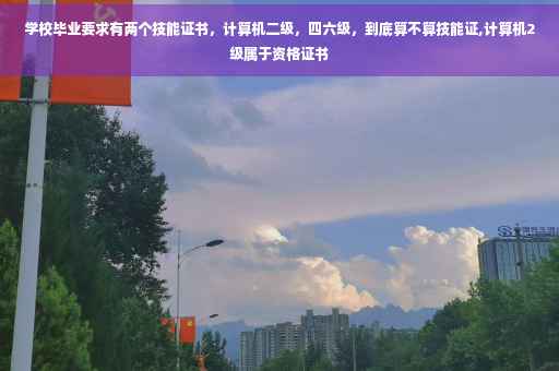 学校毕业要求有两个技能证书，计算机二级，四六级，到底算不算技能证,计算机2级属于资格证书
