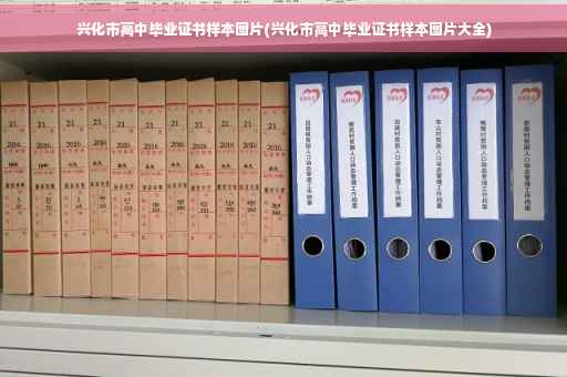 兴化市高中毕业证书样本图片(兴化市高中毕业证书样本图片大全)