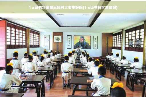 1 x证书含金量高吗对大专生好吗(1 x证书有含金量吗)