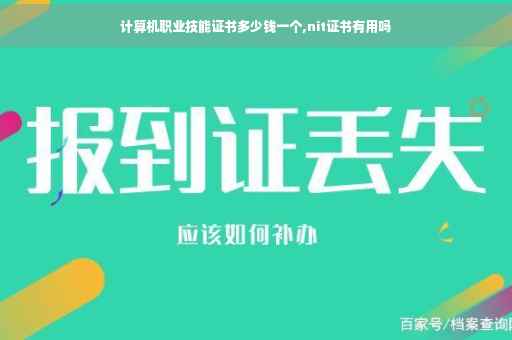 计算机职业技能证书多少钱一个,nit证书有用吗