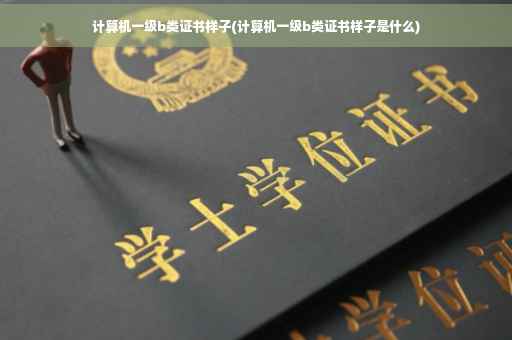 计算机一级b类证书样子(计算机一级b类证书样子是什么)