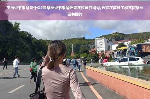 学历证书编号是什么?是毕业证书编号还是学位证书编号,石家庄信息工程学院毕业证书图片
