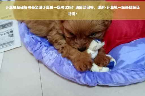计算机基础统考是全国计算机一级考试吗？请简洁回答，谢谢-计算机一级是初级证书吗?