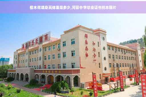 樱木花道身高体重是多少,河田中学毕业证书样本图片