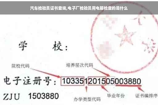 汽车检验员证书查询,电子厂检验员用电脑检查的是什么