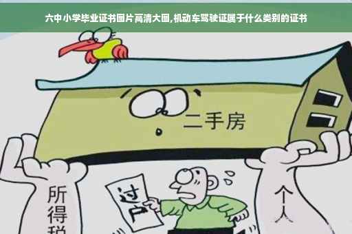 六中小学毕业证书图片高清大图,机动车驾驶证属于什么类别的证书
