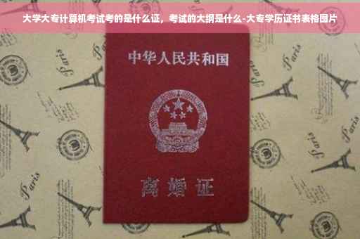 大学大专计算机考试考的是什么证，考试的大纲是什么-大专学历证书表格图片