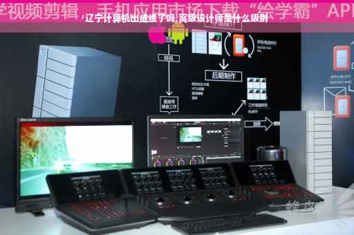 辽宁计算机出成绩了吗,高级设计师是什么级别