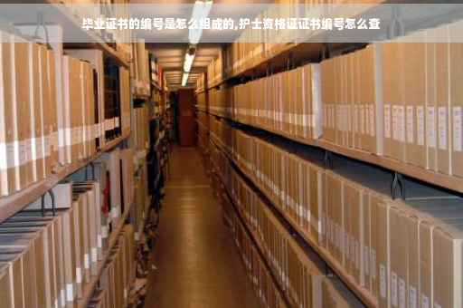 毕业证书的编号是怎么组成的,护士资格证证书编号怎么查