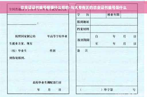 毕业证证书编号根据什么排的-与大专有关的毕业证书编号是什么