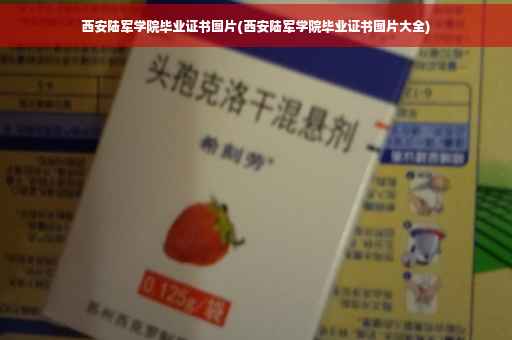 西安陆军学院毕业证书图片(西安陆军学院毕业证书图片大全)