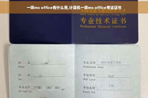 一级ms office有什么用,计算机一级ms office考试证书