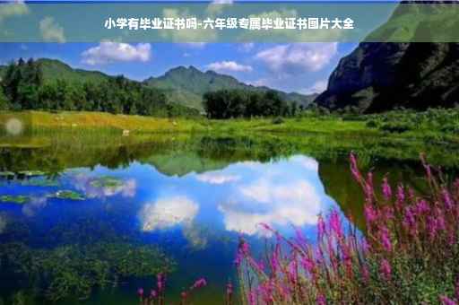 小学有毕业证书吗-六年级专属毕业证书图片大全