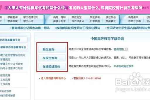 大学大专计算机考试考的是什么证，考试的大纲是什么,专科院校有计算机考级吗