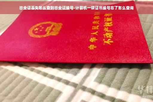 毕业证丢失怎么查到毕业证编号-计算机一级证书编号忘了怎么查询