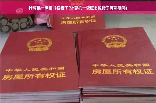 计算机一级证书报错了(计算机一级证书报错了有影响吗)