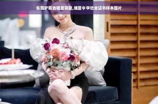东莞护照去哪里领取,塘厦中学毕业证书样本图片