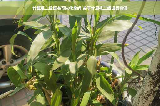 计算机二级证书可以代拿吗,关于计算机二级证得真假