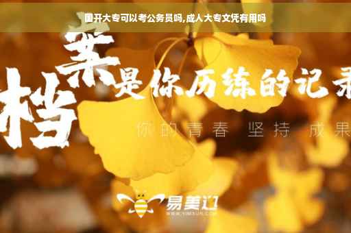 国开大专可以考公务员吗,成人大专文凭有用吗