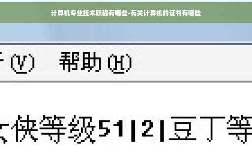计算机专业技术职称有哪些-有关计算机的证书有哪些