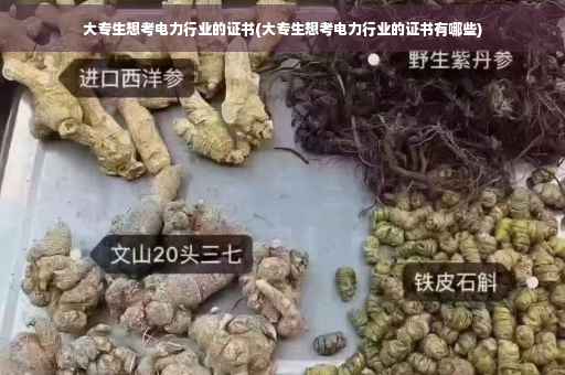 大专生想考电力行业的证书(大专生想考电力行业的证书有哪些)