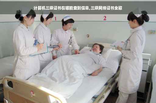 计算机三级证书在哪能查到信息,三级网络证书全称