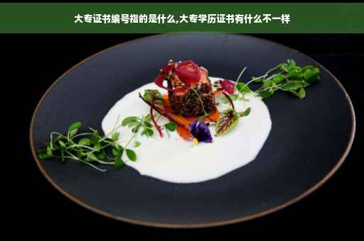 大专证书编号指的是什么,大专学历证书有什么不一样