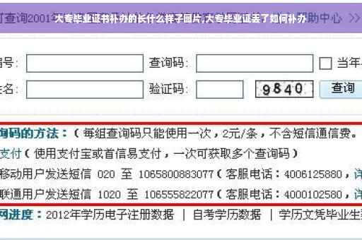 大专毕业证书补办的长什么样子图片,大专毕业证丢了如何补办