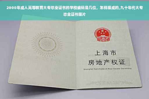 2000年成人高等教育大专毕业证书的学校编码是几位，怎样组成的,九十年代大专毕业证书图片