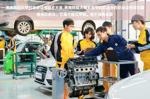 西南医科大学的毕业证书图片大全,西南财经大学天府学院的毕业的毕业证书是它院校自己的么。它是个独立学院。会不会有点歪