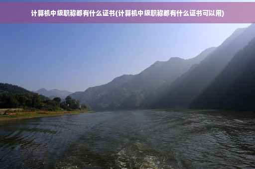 计算机中级职称都有什么证书(计算机中级职称都有什么证书可以用)