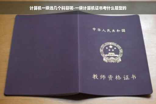 计算机一级选几个科目呢-一级计算机证书考什么题型的