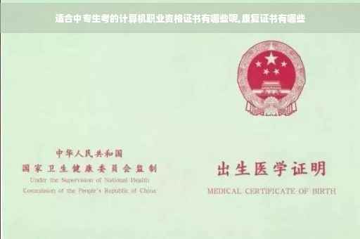 适合中专生考的计算机职业资格证书有哪些呢,康复证书有哪些