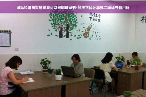 国际经济与贸易专业可以考哪些证书-经济学科计算机二级证书有用吗