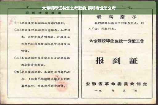 大专钢琴证书怎么考取的,钢琴专业怎么考