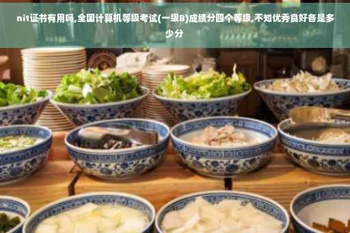 nit证书有用吗,全国计算机等级考试(一级B)成绩分四个等级,不知优秀良好各是多少分