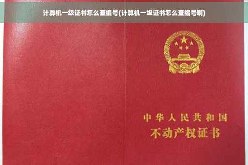 计算机一级证书怎么查编号(计算机一级证书怎么查编号啊)