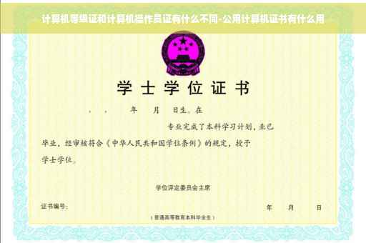 计算机等级证和计算机操作员证有什么不同-公用计算机证书有什么用