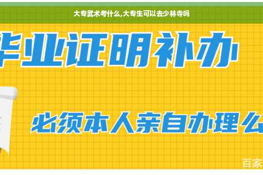 大专武术考什么,大专生可以去少林寺吗