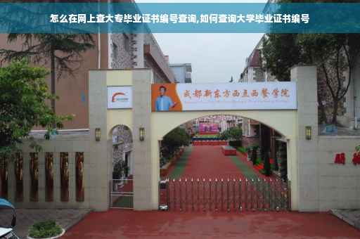 怎么在网上查大专毕业证书编号查询,如何查询大学毕业证书编号