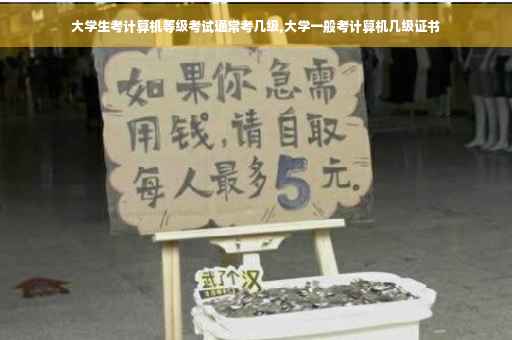 大学生考计算机等级考试通常考几级,大学一般考计算机几级证书