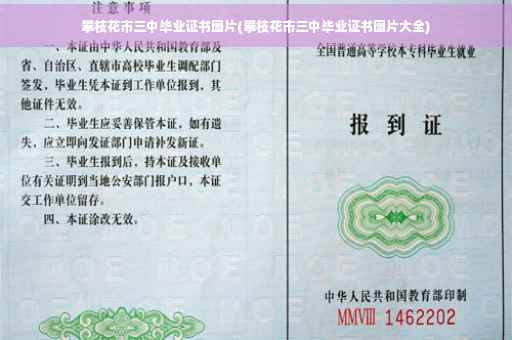 攀枝花市三中毕业证书图片(攀枝花市三中毕业证书图片大全)