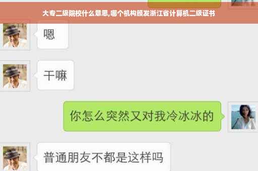 大专二级院校什么意思,哪个机构颁发浙江省计算机二级证书