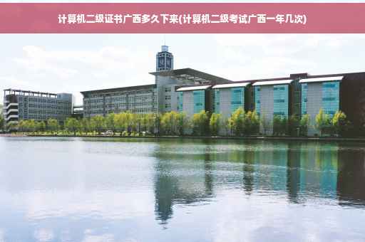 计算机二级证书广西多久下来(计算机二级考试广西一年几次)
