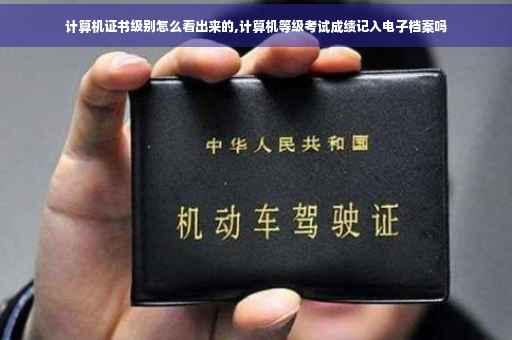 计算机证书级别怎么看出来的,计算机等级考试成绩记入电子档案吗