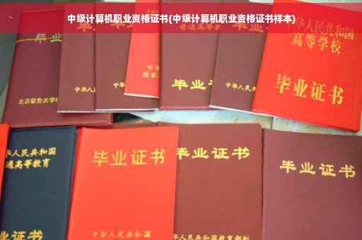 中级计算机职业资格证书(中级计算机职业资格证书样本)