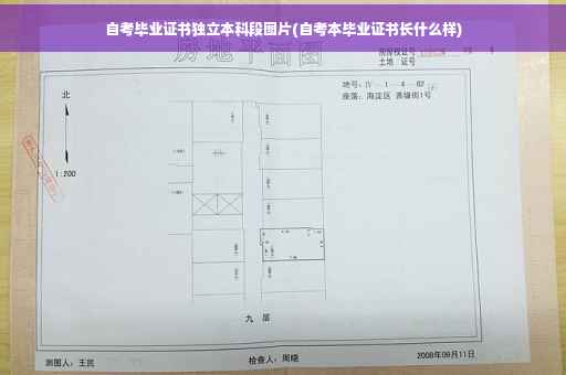 自考毕业证书独立本科段图片(自考本毕业证书长什么样)