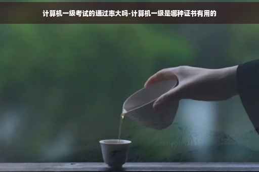 计算机一级考试的通过率大吗-计算机一级是哪种证书有用的 计算机一级考试的通过率大吗-计算机一级是哪种证书有用的