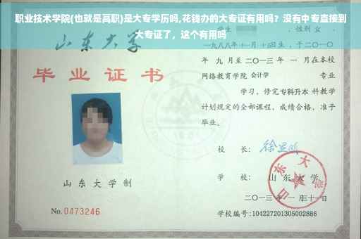 职业技术学院(也就是高职)是大专学历吗,花钱办的大专证有用吗？没有中专直接到大专证了，这个有用吗