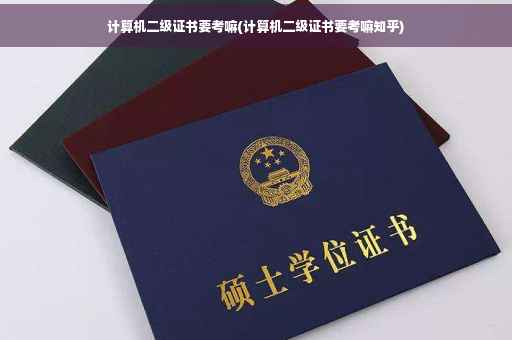 计算机二级证书要考嘛(计算机二级证书要考嘛知乎)